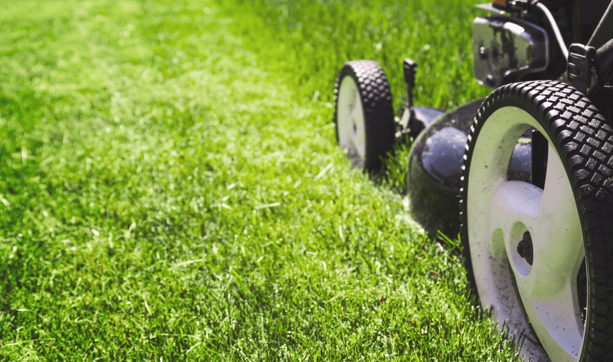 LAWNCARE